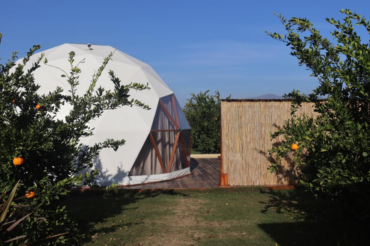מלון סלצ'וק Mandalin Glamping מראה חיצוני תמונה