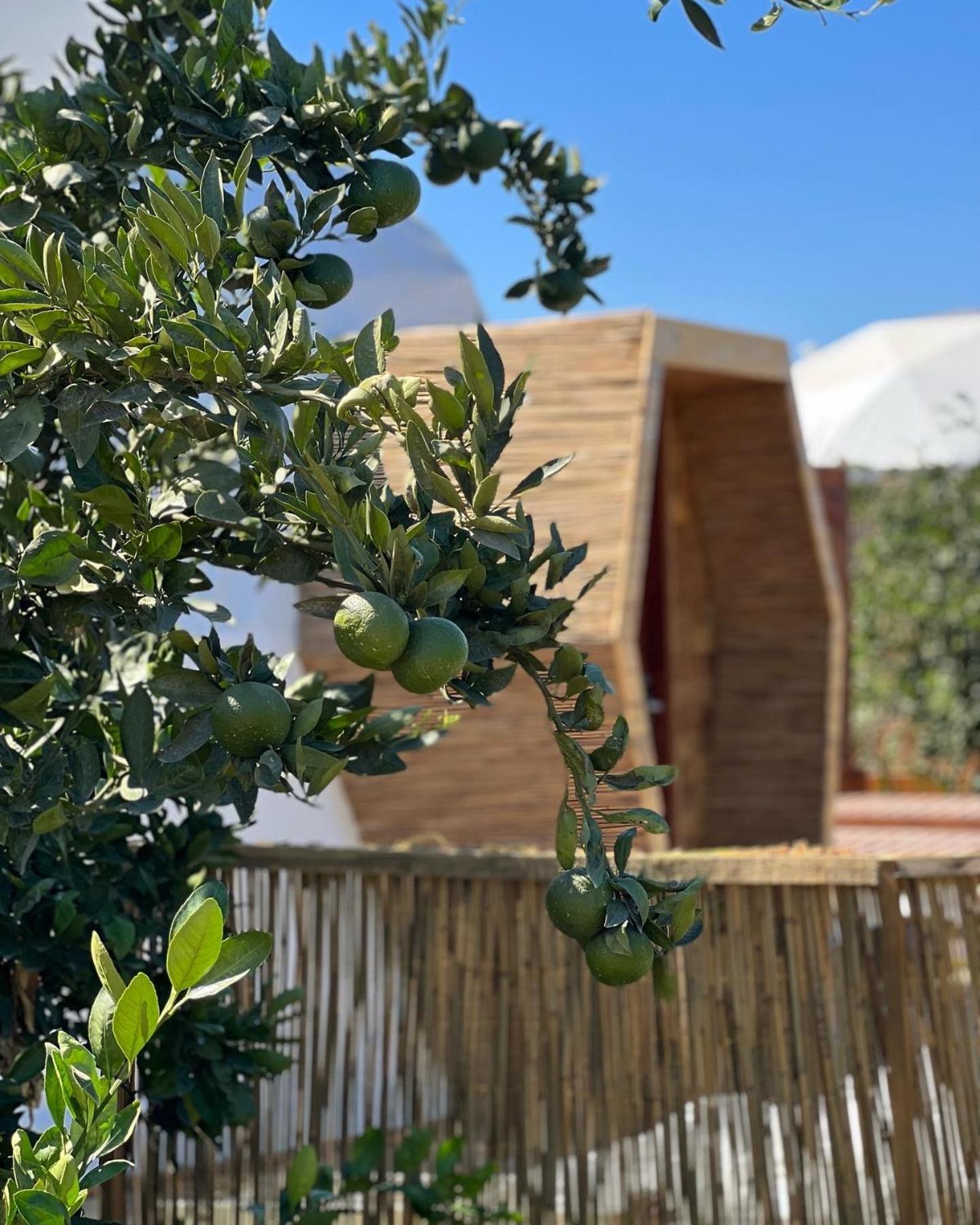 מלון סלצ'וק Mandalin Glamping מראה חיצוני תמונה